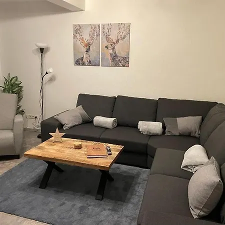Appartement-hollenstein-mit-dachstudio-auf-2-etagen 아파트