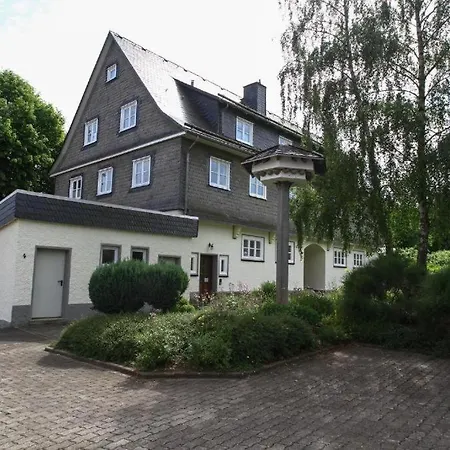 Appartement-hollenstein-mit-dachstudio-auf-2-etagen Willingen (Upland)