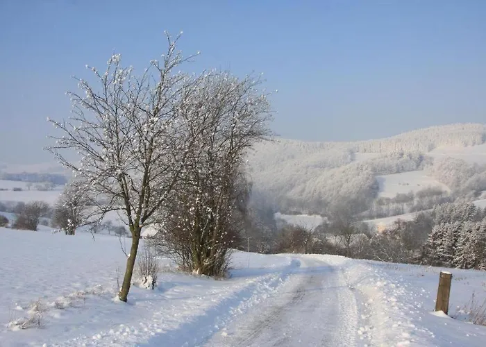 Appartement-hollenstein-mit-dachstudio-auf-2-etagen * 빌링겐